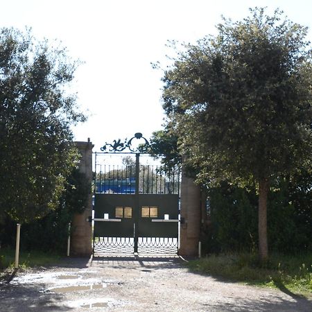 Villa Anselmi - Arteindiretta Livorno Dış mekan fotoğraf