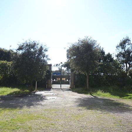 Villa Anselmi - Arteindiretta Livorno Dış mekan fotoğraf